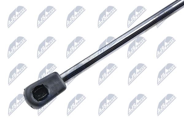 Tailgate strut NTY AE-PL-014