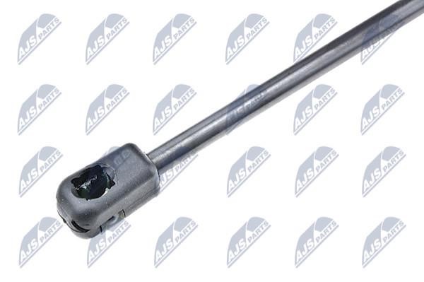 Tailgate strut NTY AE-PL-015