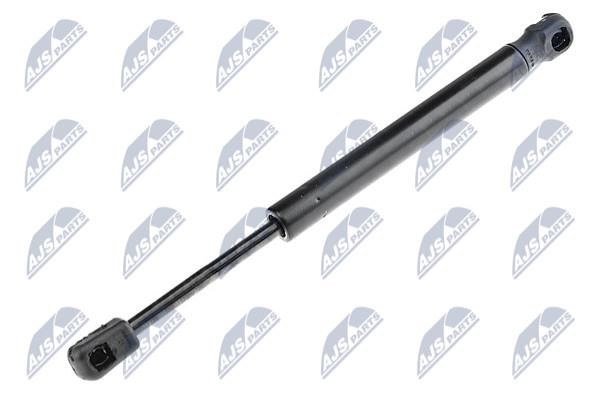 NTY AE-PL-019 Gas Spring, boot-/cargo area AEPL019