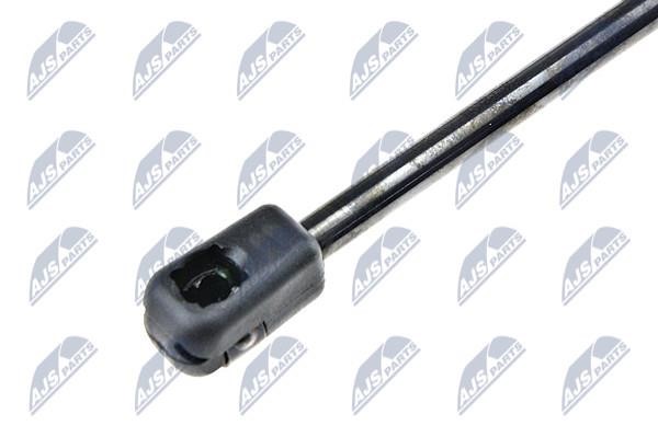 Tailgate strut NTY AE-PL-019