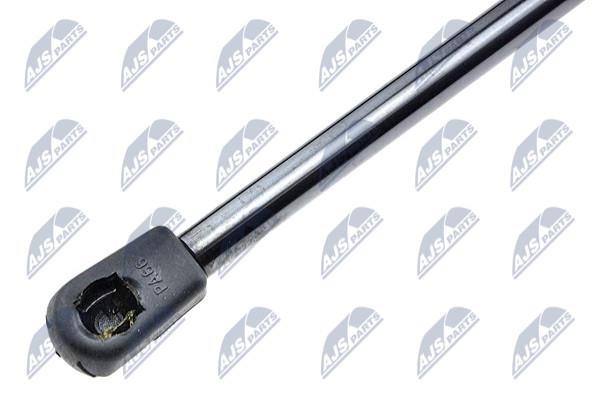 Tailgate strut NTY AE-PL-031