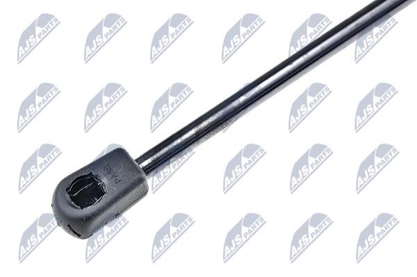 Tailgate strut NTY AE-PL-032
