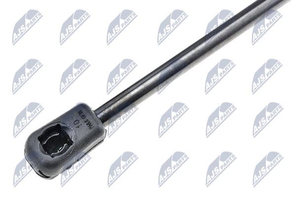 Tailgate strut NTY AE-PL-034