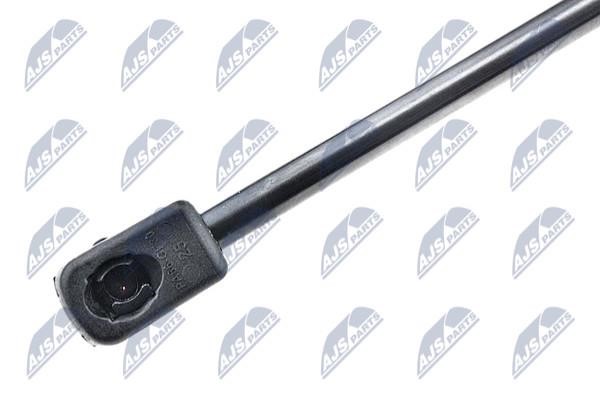 Tailgate strut NTY AE-PL-038