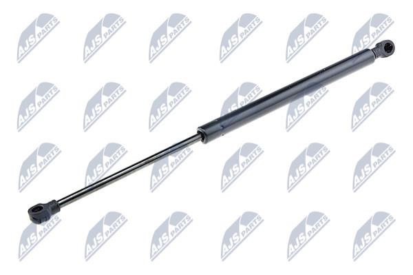 NTY AE-PL-041 Gas Spring, boot-/cargo area AEPL041