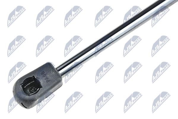 Tailgate strut NTY AE-RE-001