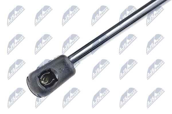 Hood shock absorber NTY AE-RE-003