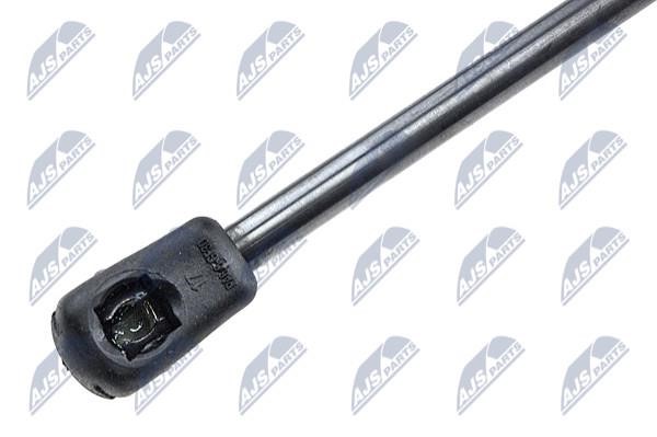 Tailgate strut NTY AE-RE-004