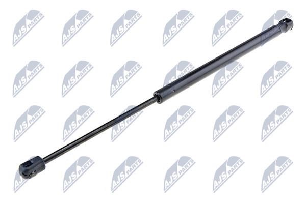 NTY AE-RE-006 Gas Spring, boot-/cargo area AERE006