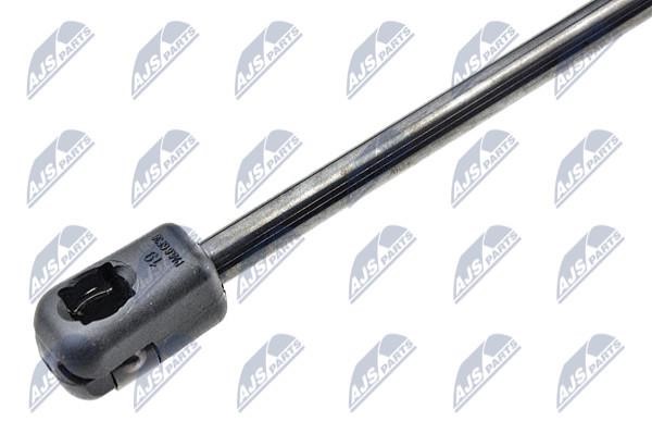 Tailgate strut NTY AE-RE-008