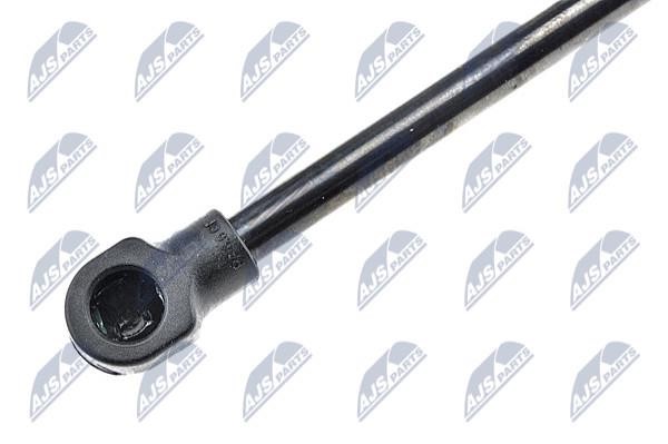 Tailgate strut NTY AE-RE-015