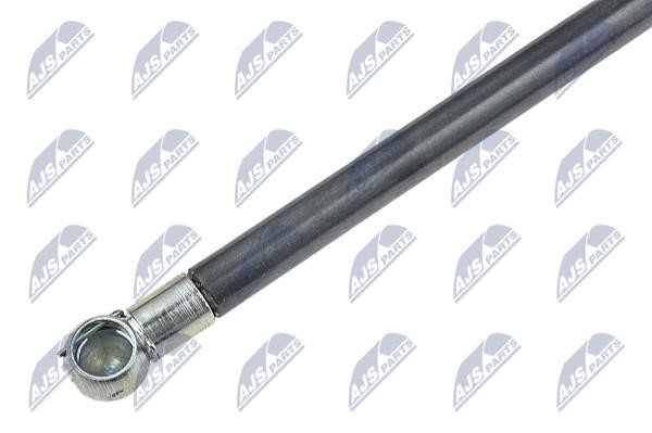 Tailgate strut NTY AE-RE-016