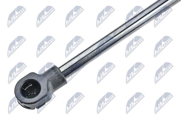 Tailgate strut NTY AE-RE-020