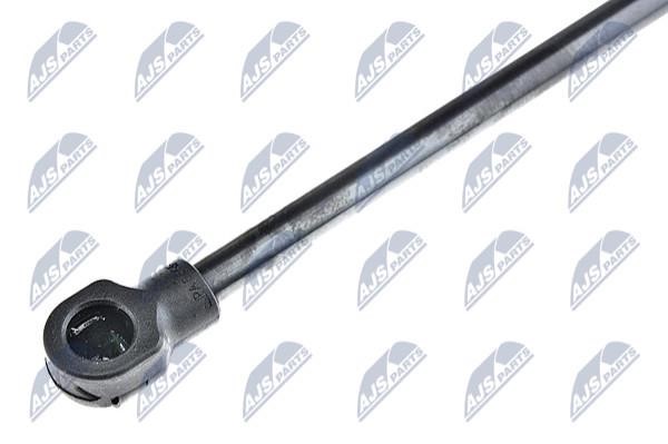 Tailgate strut NTY AE-RE-022