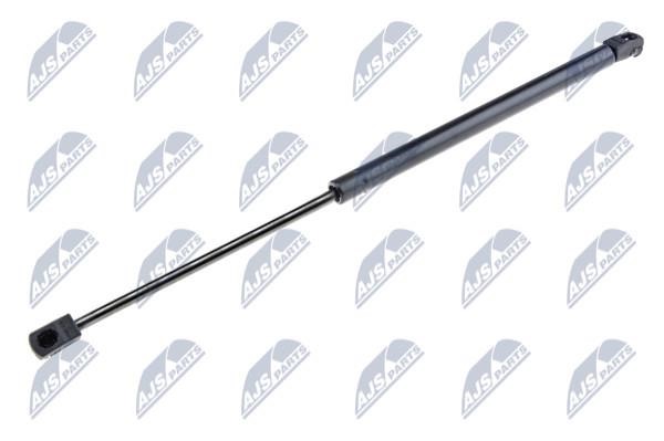 NTY AE-RE-025 Gas Spring, boot-/cargo area AERE025