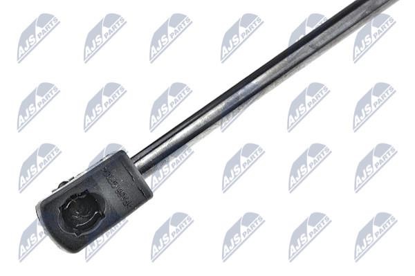 Tailgate strut NTY AE-RE-025
