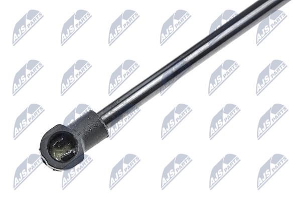 Tailgate strut NTY AE-RE-027