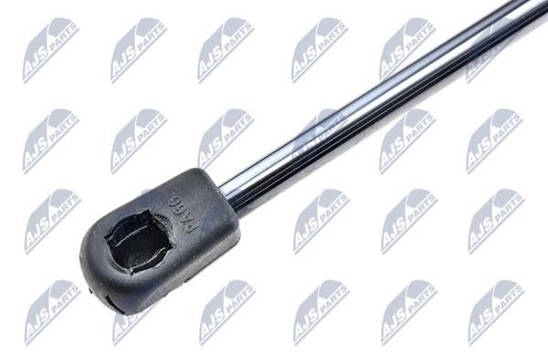 Tailgate strut NTY AE-RE-028