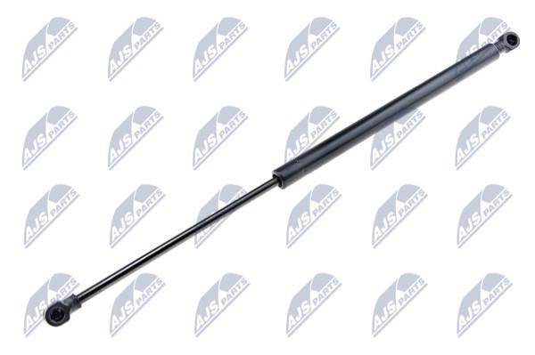 NTY AE-RE-029 Gas Spring, boot-/cargo area AERE029