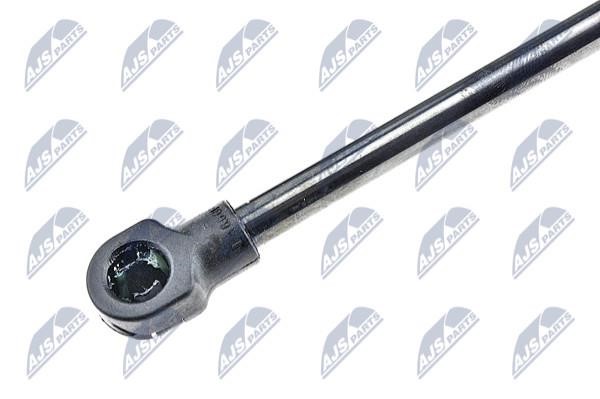 Tailgate strut NTY AE-RE-029