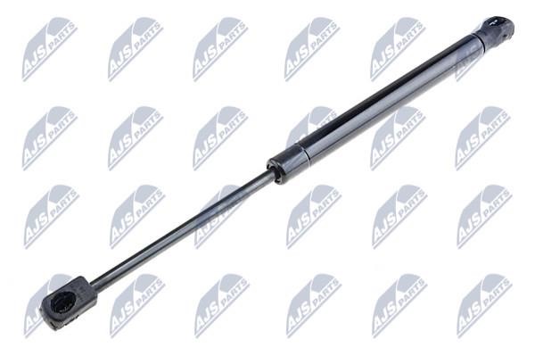 NTY AE-RE-030 Gas Spring, boot-/cargo area AERE030