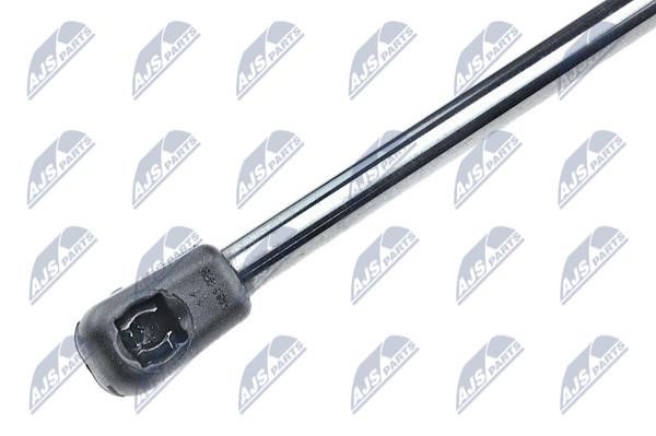 Tailgate strut NTY AE-RE-040