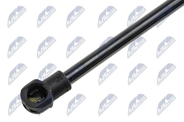 Hood shock absorber NTY AE-RE-041