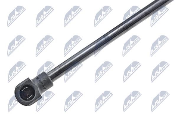 Hood shock absorber NTY AE-RE-042