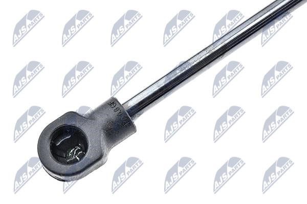 Tailgate strut NTY AE-RE-043