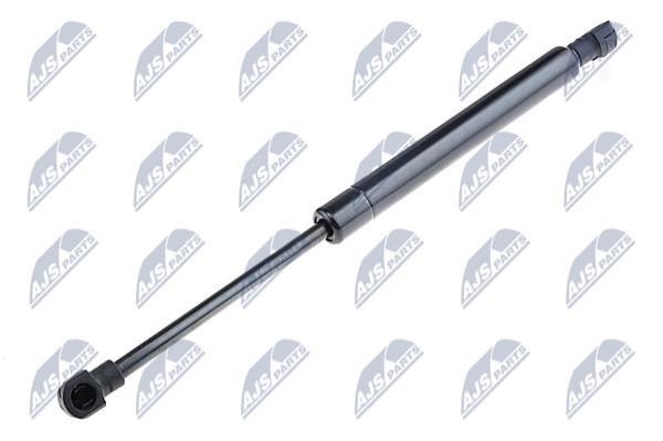 NTY AE-RE-045 Gas Spring, boot-/cargo area AERE045