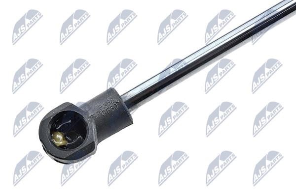Tailgate strut NTY AE-RE-046