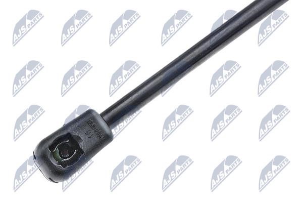 Hood shock absorber NTY AE-RE-047