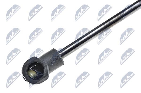Tailgate strut NTY AE-RE-048