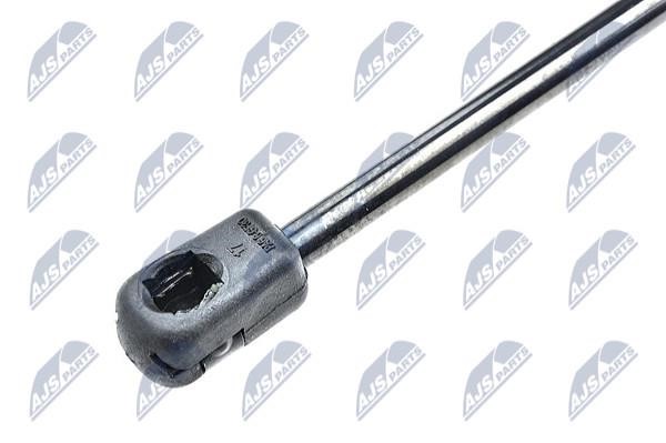 Tailgate strut NTY AE-RE-053