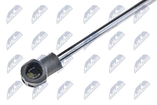 Tailgate strut NTY AE-RE-056