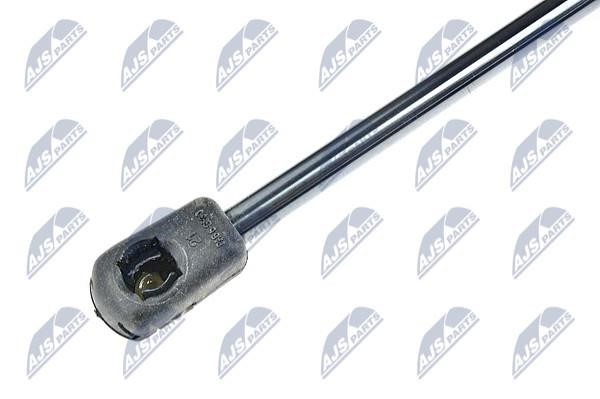 Tailgate strut NTY AE-SE-011
