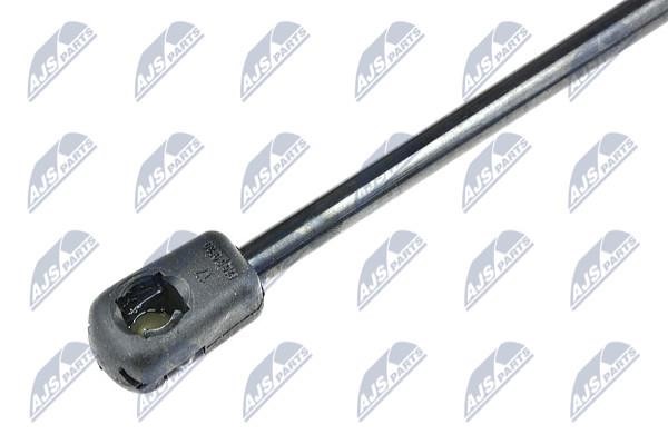 Tailgate strut NTY AE-SE-014