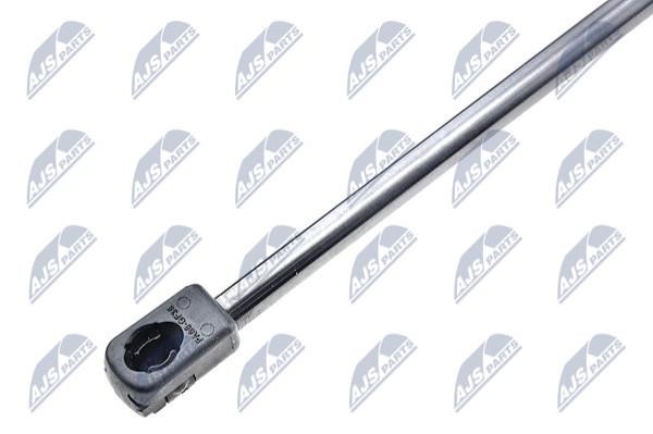 Tailgate strut NTY AE-SE-021