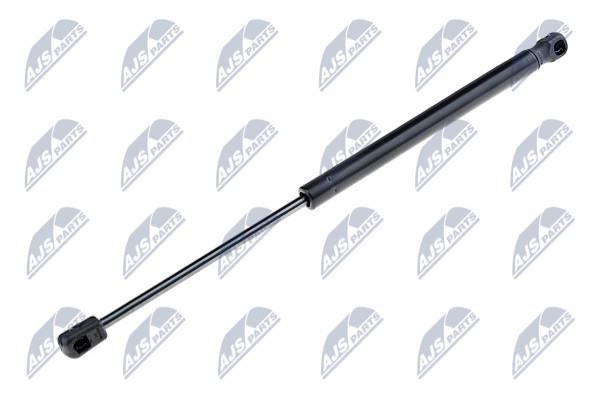 NTY AE-SK-002 Gas Spring, boot-/cargo area AESK002