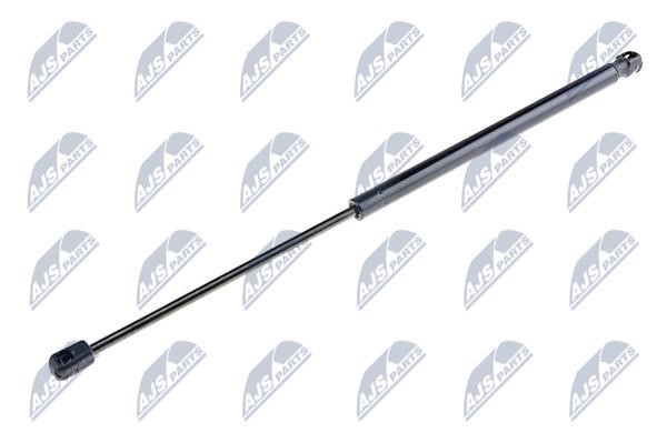 NTY AE-SK-003 Gas Spring, boot-/cargo area AESK003