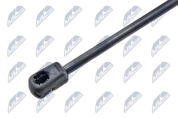 Tailgate strut NTY AE-SK-004