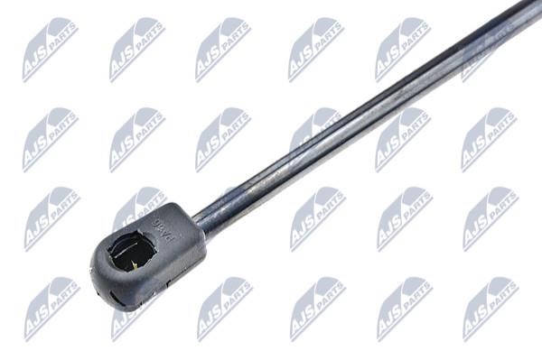 Tailgate strut NTY AE-SK-006