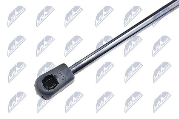 Tailgate strut NTY AE-SK-007