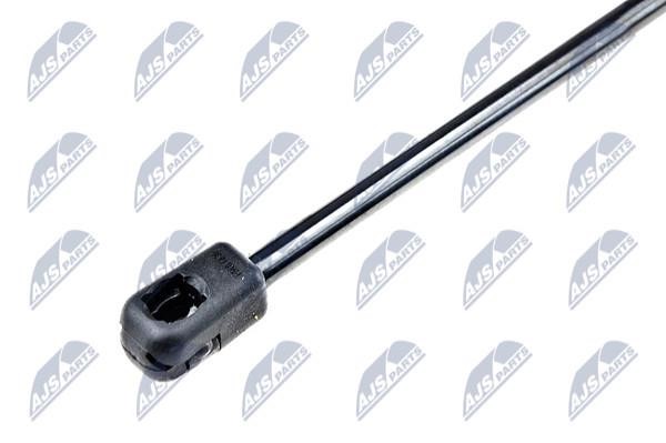 Tailgate strut NTY AE-SK-008
