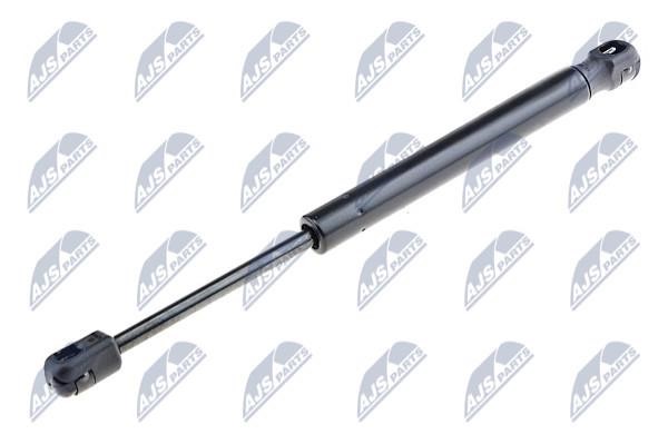 NTY AE-SK-016 Gas Spring, boot-/cargo area AESK016