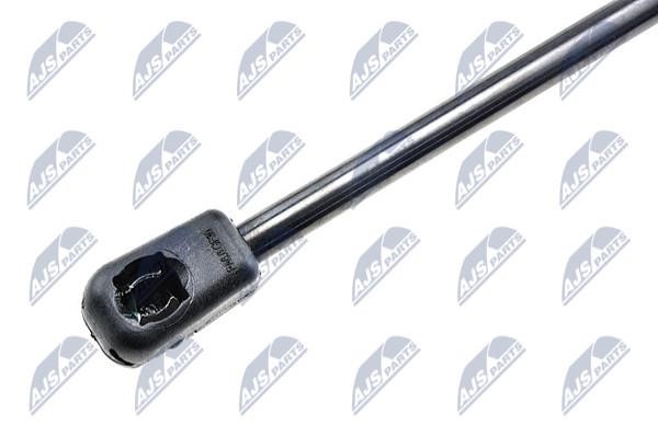 Tailgate strut NTY AE-SK-016