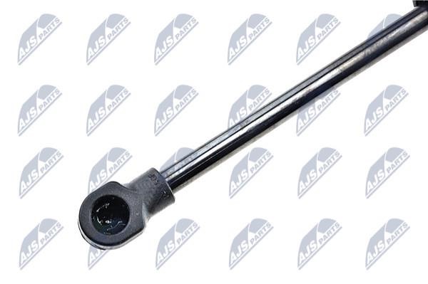 Tailgate strut NTY AE-TY-000