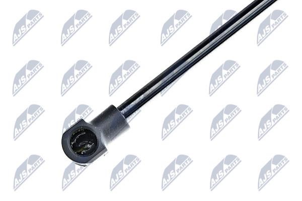 Tailgate strut NTY AE-TY-004
