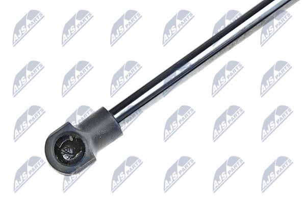 Tailgate strut NTY AE-TY-006
