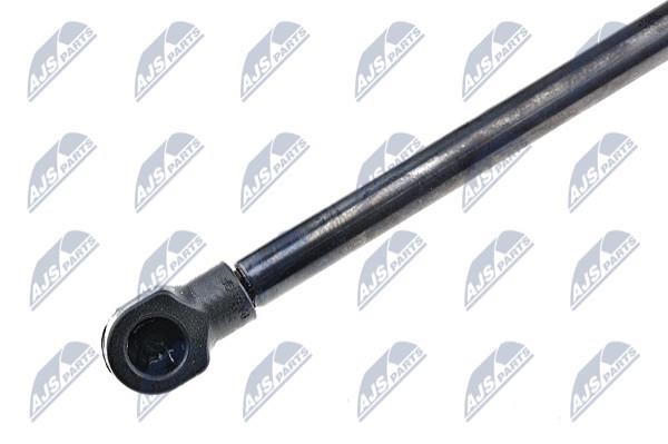 Tailgate strut NTY AE-TY-008